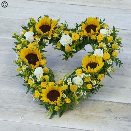 Striking sunflower heart