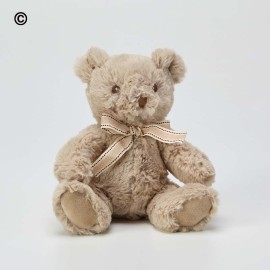 Ralph Teddy Bear